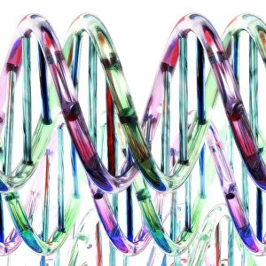 DNA molecules, artwork