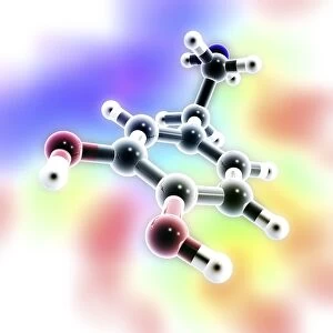 Dopamine, 3D molecular model