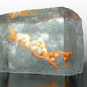 Frozen DNA, conceptual image