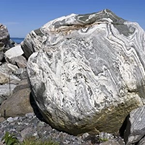 Glacial gneiss erratic