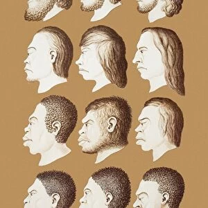 Twelve human faces, artwork, 1870