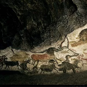 Lascaux II cave painting replica C013 / 7378