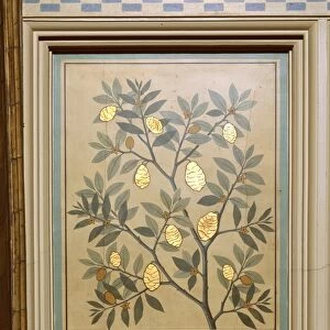 Lemon (Citrus medica), decorative panel C016 / 5919