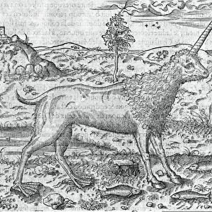 Mythical hybrid creature, 16th century C013 / 7632