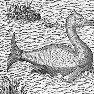 Mythical water creature, 16th century