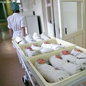 Newborn babies at a maternity hospital