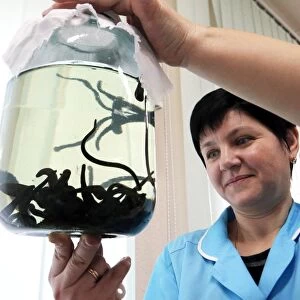 Nurse with a jar of medicinal leeches C018 / 2317