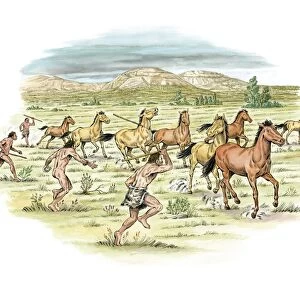 Palaeolithic horse hunting, artwork C016 / 8281