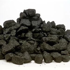 Pile of coal