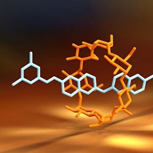 Rotaxane, molecular crystal structure C017 / 7010
