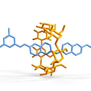 Rotaxane, molecular crystal structure C017 / 7016