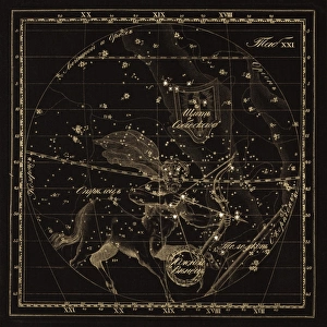 Sagittarius constellations, 1829 C016 / 4407