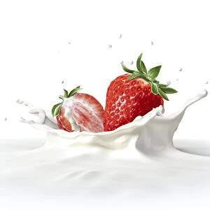 Strawberries falling into milk, artwork F007 / 8304