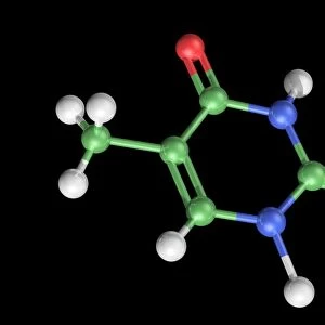 Thymine molecule, artwork C017 / 7366