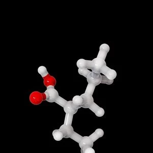 Valproic acid anticonvulsant molecule C014 / 2296