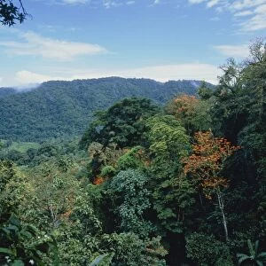 View across rainforest in Trinidad