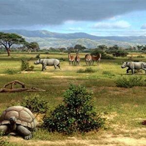 Wildlife of the Miocene era, artwork