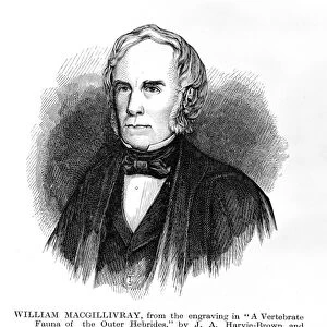 William MacGillivray, Scottish naturalist C016 / 5642