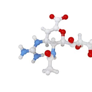 Zanamivir flu drug, molecular model C016 / 5799