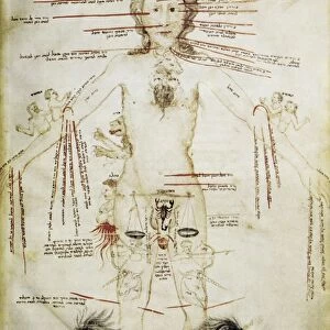 Zodiacal man, 15th century