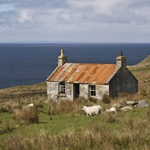 Abandoned croft, Wester Ross, Highlands, Scotland, United Kingdom, Europe