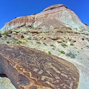 Ancient Indian petroglyphs on a boulder near Marthas Butte in Petrified Forest National Park, Arizona, United States of America, North America
