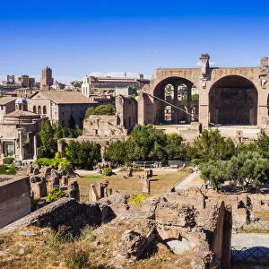 Basilica of Maxentius or Constantine seen from Palatine Hill, UNESCO World Heritage Site