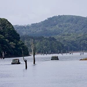 Boating, Periyar Tiger Reserve, Thekkady, Kerala, India, Asia