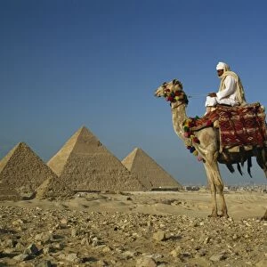 Camel and rider near the Pyramids, UNESCO World Heritage Site, Giza, Cairo