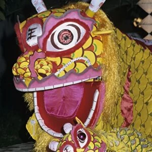 Chinese dragon dance at Chinese New Year celebrations, Vietnam, Indochina, Southeast Asia, Asia