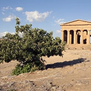 The Concordia Temple, Valley of the Temples, Agrigento, UNESCO World Heritage Site, Sicily, Italy, Europe