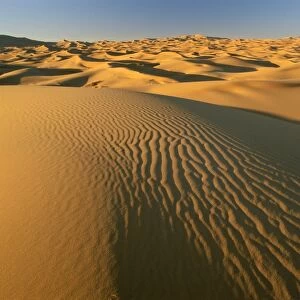 Dunes of the Erg Chebbi