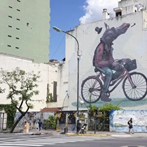 Fun graffiti, San Telmo, Buenos Aires, Argentina, South America