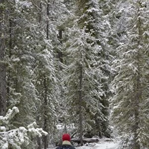 Hiking in the first snow of the winter, Sawtooth Mountains, Rocky Mountains