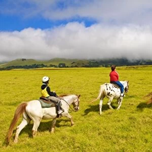 Horseback riding at Parker Ranch, The Big Island, Hawaii, United States of America