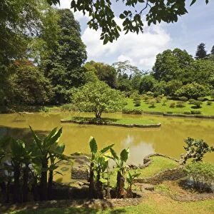 The lake by South Drive in the 60 hectare Royal Botanic Gardens at Peradeniya