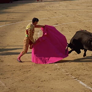 Matador and bull during a bullfight in Arles, Bouches du Rhone, Provence, France, Europe