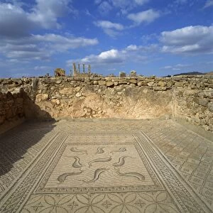 Mosaics from the 3rd century Roman city of Volubilis