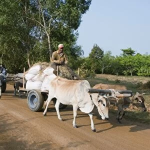 Ox cart, Cambodia, Indochina, Southeast Asia, Asia