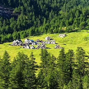 Picturesque alpine village built of rocks, surrounded by lush green meadows and forest, Varzo, Alpe Veglia, Verbania, Piedmont, Italy, Europe