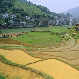 Rice paddies in Longsheng, Guangxi, China