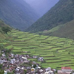 Rice terraces and village