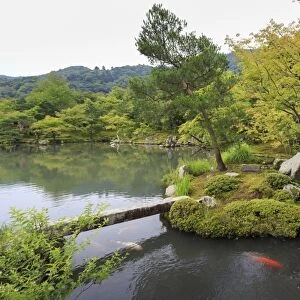 Tenryu-ji temple, Zen garden lake with carp, backdrop of borrowed mountain scenery in summer