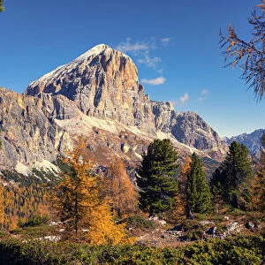 Tofana di Rozes in autumn, Falzarego Pass, Dolomites, Veneto, Italy, Europe
