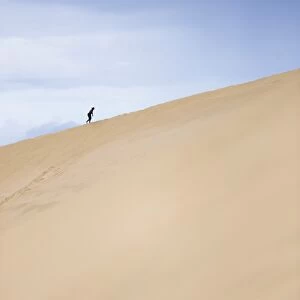 Tourist climbing Te Paki Sand Dunes on 90 Mile Beach, Northland, North Island, New Zealand