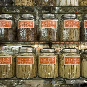 Traditional chinese medicine, Mong Kok district, Kowloon, Hong Kong, China, Asia