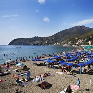 Umbrellas on the beach at Levanto, Liguria, Italy, Mediterranean, Europe