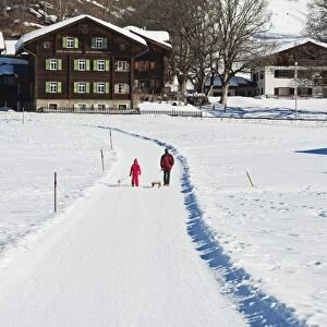Winter walking trail, Klosters, Graubunden, Swiss Alps, Switzerland, Europe