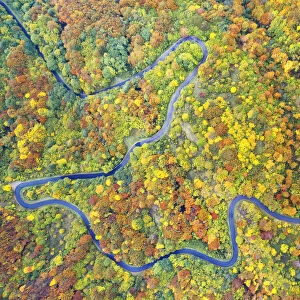 aerial view of the forest and road with autumn colors, tuscan-emilian apennine national