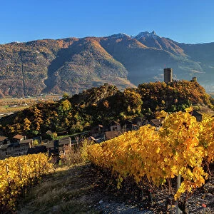 Autumnal view of the vineyards of Saillon with Towers castle ruins, saillon, rhone valley, Valais, Switzerland